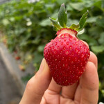 姫路ハートフル観光農園 - 