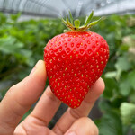 姫路ハートフル観光農園 - 