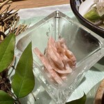 大阪 京橋 鮨 黒潮海閤 - 