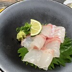 大阪 京橋 鮨 黒潮海閤 - 