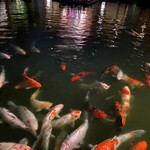 鉄板・懐石 くら馬 - 