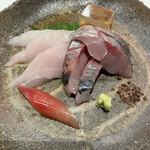 コヤマ - ウマズラハギとアジのお造り