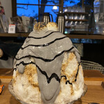 ライアンマルニ - 