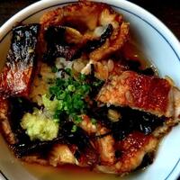 炭焼きうなぎ・かしわ 登河 - 