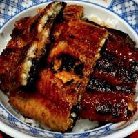 炭焼きうなぎ・かしわ 登河 - 