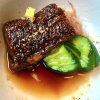 炭焼きうなぎ・かしわ 登河 - 