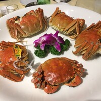 老香港酒家京都 - 