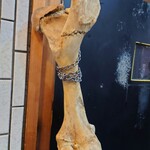 一条流がんこ総本家分家四谷荒木町 - 