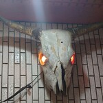 一条流がんこ総本家分家四谷荒木町 - 