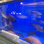 せいもん払い - 