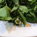 はぜの風 - 