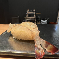 鮨 赤酢 あらまさ - 