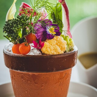 シンシア ブルー_2