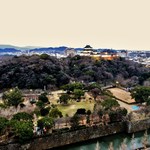 Daiwaroinetto Hoteru - 部屋から見える和歌山城