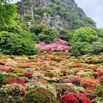 ひろちゃんラーメン - 御船山楽園☆