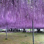 ひろちゃんラーメン - よもやよもやだ☆