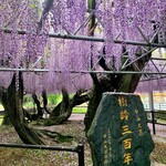 ひろちゃんラーメン - 中山大藤☆