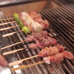 鳥琴 - 