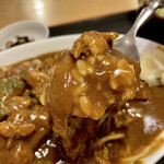 クック・ファン - 中辛程度の辛さ。コッテリと濃い旨みを感じるカレーです。僅かに甘さもあります。