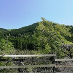 手打そば　かわせみ - 