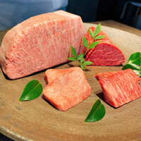 USHIGORO S. SHINJUKU - 