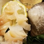 出羽鮨 - ミル貝。