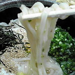 手打うどん くうかい - ひやしやまかけの麺。モチモチシコシコツルツル！