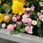 ラーメン二郎 - 奇麗だね～