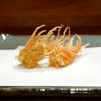 天冨良 よこ田 - 