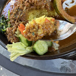 Koshindo Curry - 
