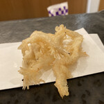 鮨 くぼた - 白魚の天ぷら