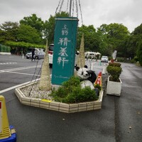 上野精養軒本店 グリル - 