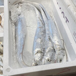 海屋 松下 - ぶっ太い太刀魚