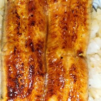 うなぎ割烹 大江戸 - 鰻