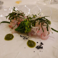 anchoa - 石鯛