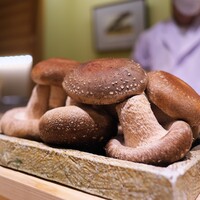 日本橋 蕎ノ字 - 玉とり茸というとても立派な椎茸。