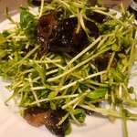 本格四川料理 麻辣先生 - 豆苗とキクラゲの和え物