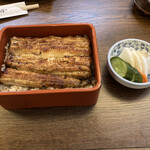 Kakumoto Unagi - 