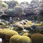 松阪 海津 本店 - 