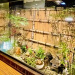 丹想庵　健次郎 - ◎店内な窓ガラスからは坪庭が見える。