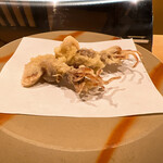 Tempura Kisshou - 