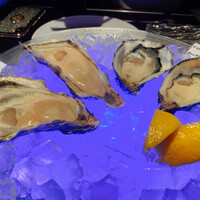 MAIMON GINZA - 