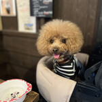 犬茶屋本舗 - 笑顔のシェリ