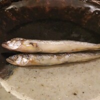 冨久屋 - 稚鮎