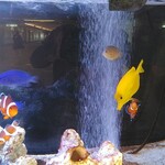 大衆酒場 まるちゃん - 直江津駅にあるミニ水族館