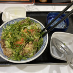 吉野家 羽田空港第1ターミナルビル店 - 