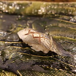 にぎり鮨 一五〇 - コハダ