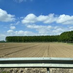 La Vucciria  - トリノ郊外の一般道を走る。畑は耕され、種が撒かれた。