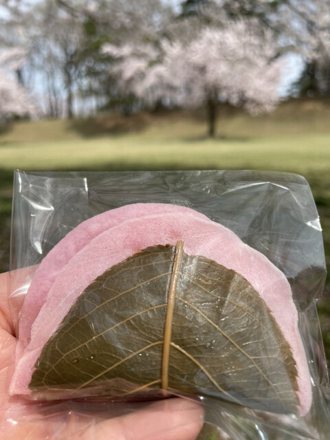 御菓子司 かぎや - 鏡石（和菓子）の写真