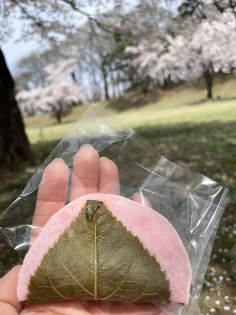 御菓子司 かぎや - 鏡石（和菓子）の写真